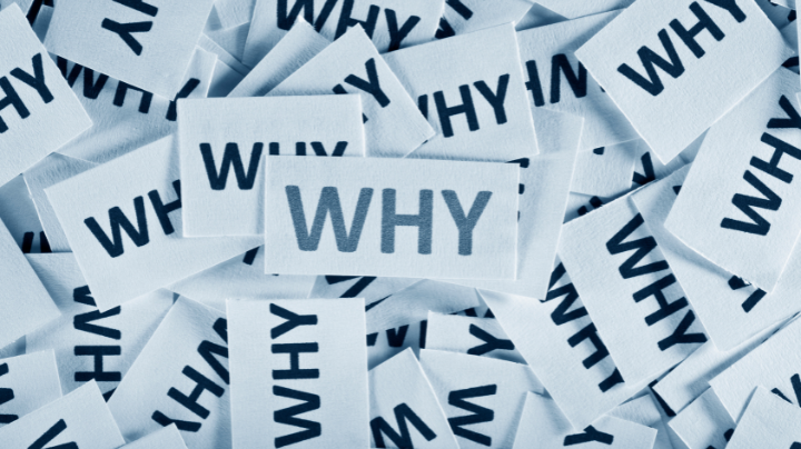 Shoe Supplier vs Manufacturer What’s the Difference and Why It Matters